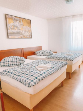Gemütliche 2 Zimmer Monteurwohnung in die Stadt Mitte